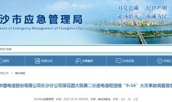 国产精品久久久久久一级毛片,揭秘久久久久久一级毛片的魅力与影响